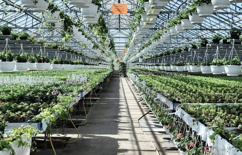 Klockaregårdens Handelsträdgård