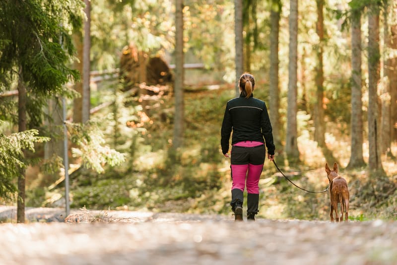 Vandra i Tegnérområdet