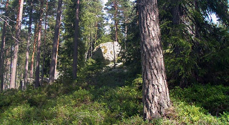 Fjärhanabergen - Naturreservat