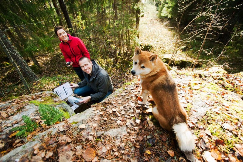 Geocaching - Guesthouse Eleven