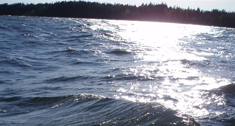 Alkvetterns fiskeförening