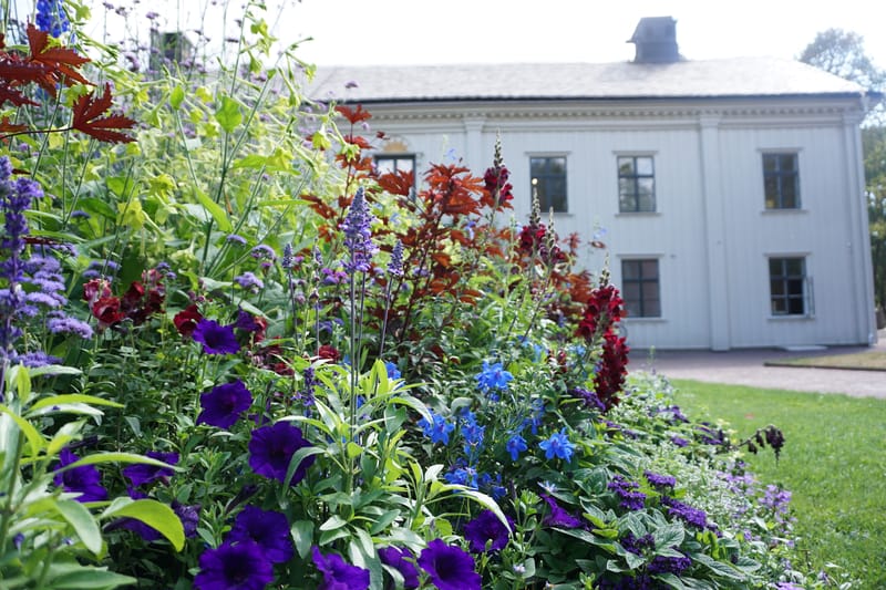 Bild till evenamnget Trädgårdsvandring