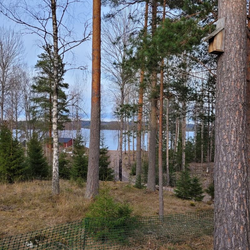 Arvika 9, stuga Tasebo