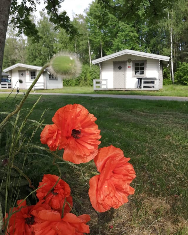 First Camp Hammarö, Mörudden