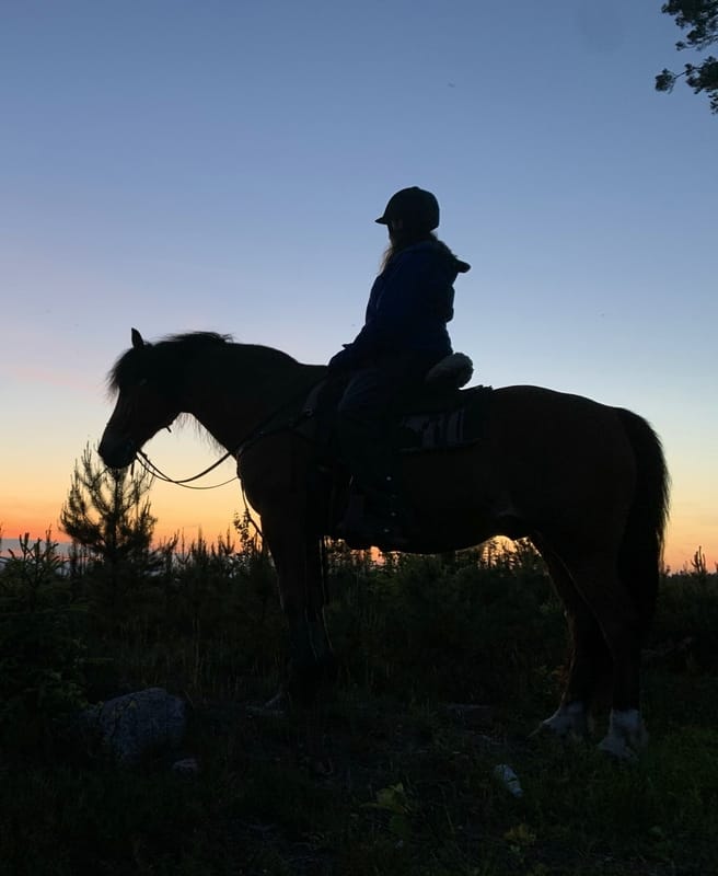 Hästaktiviteter på Our Little Farm