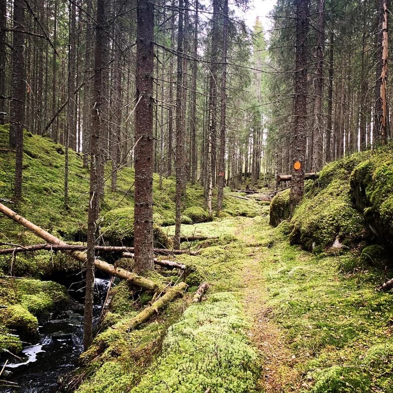 Trailrunning, Outside Adventure