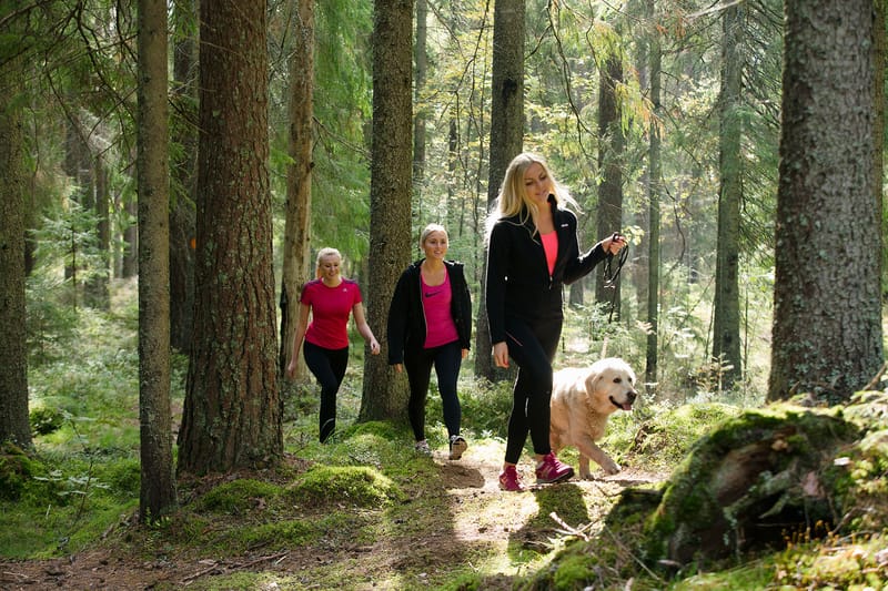 Motionsspår och promenadvägar i Arvika