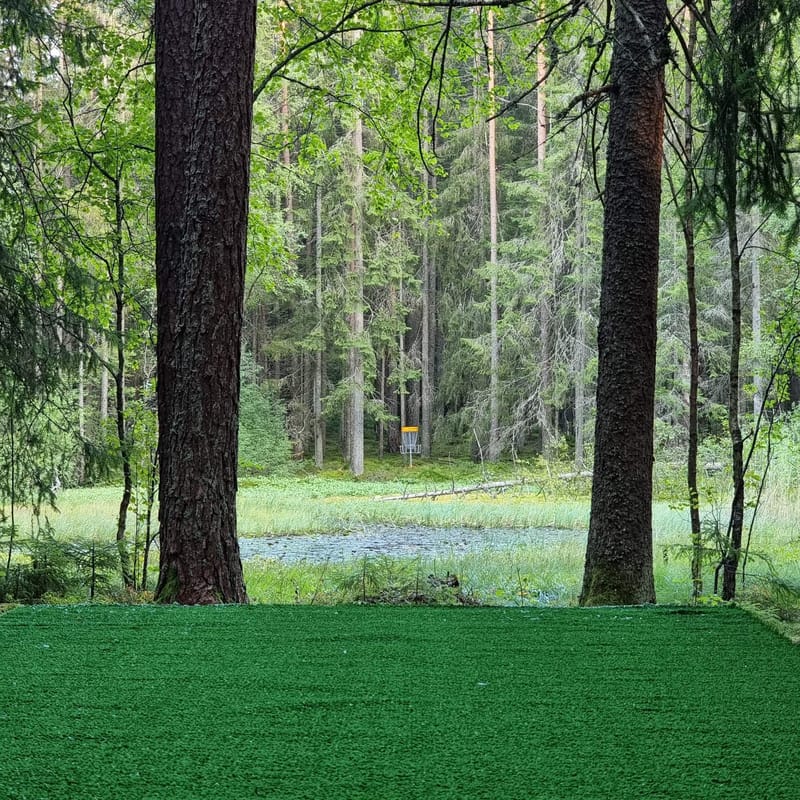 Frisbeegolf / Discgolf Sunneberg