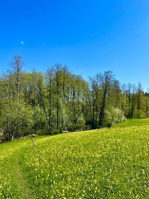 Tibergs udde - Naturreservat