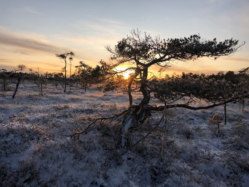 Christinehamns fiskevårdsförening