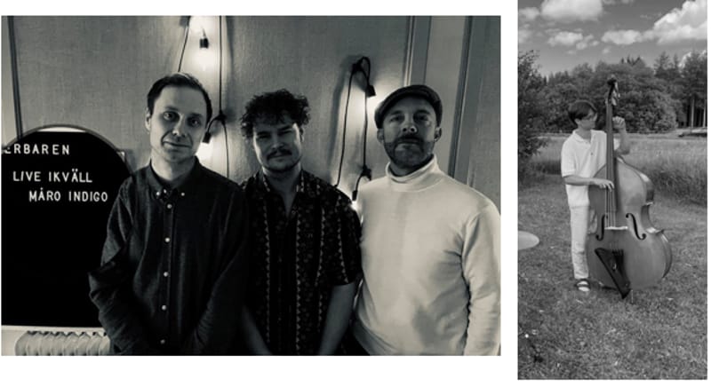 Mård Indigo & Hannes Tikkanen trio