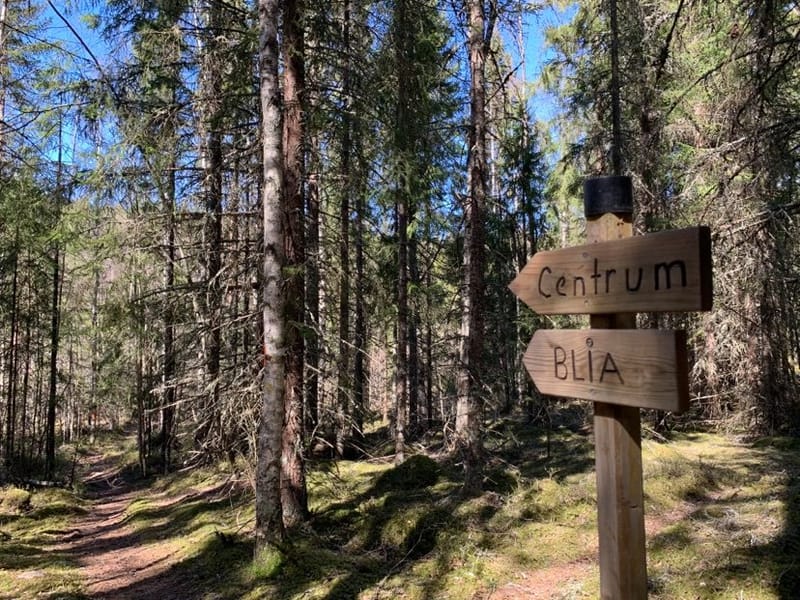 Spraktjärnsleden