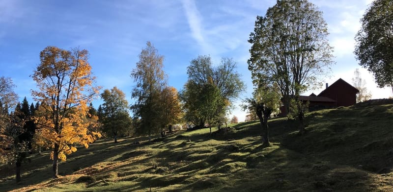 Ambiastorpslingan, Tiskaretjärn
