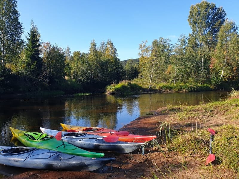 Naturcamping Lagom vandrarhem