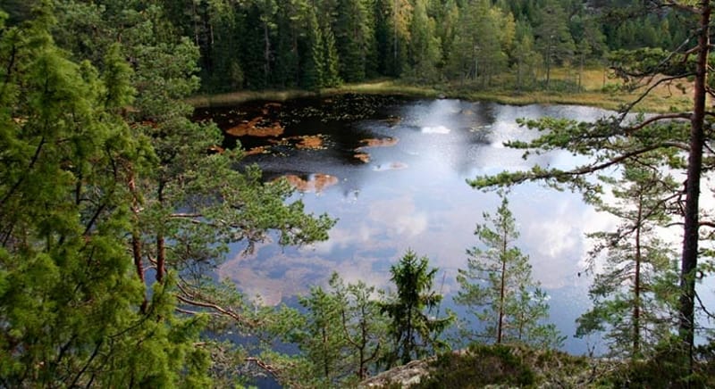 Rövarbro Skans - Naturreservat