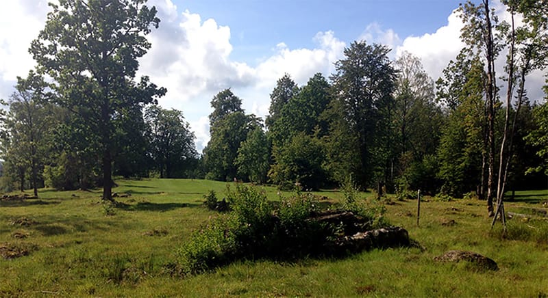 Yttre Hedane Naturreservat