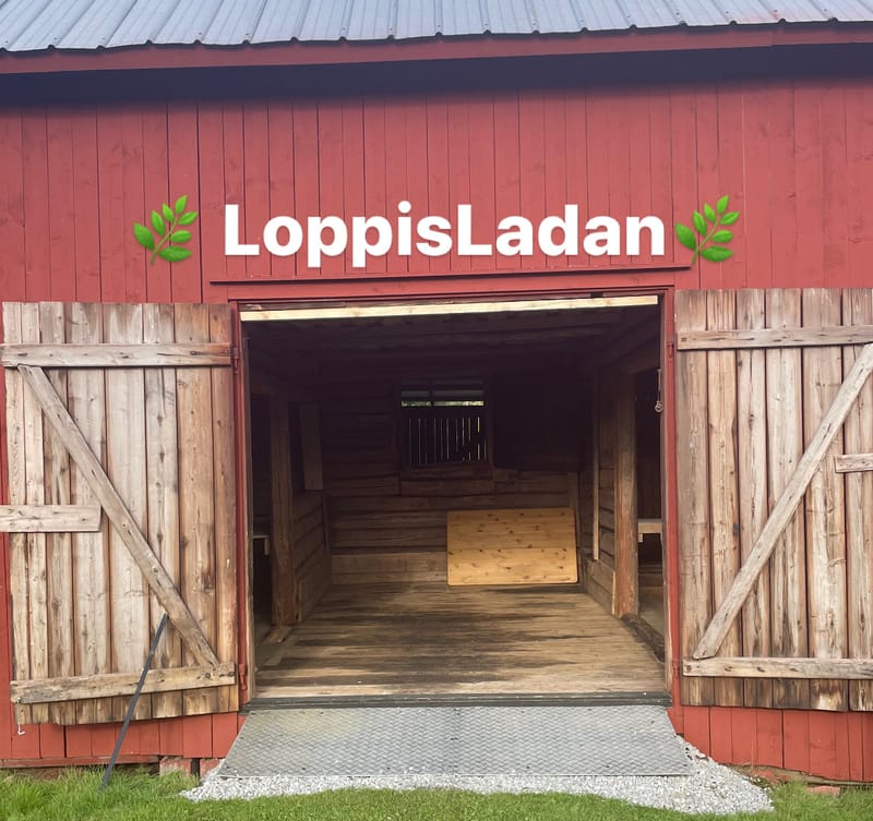 LoppisLadan