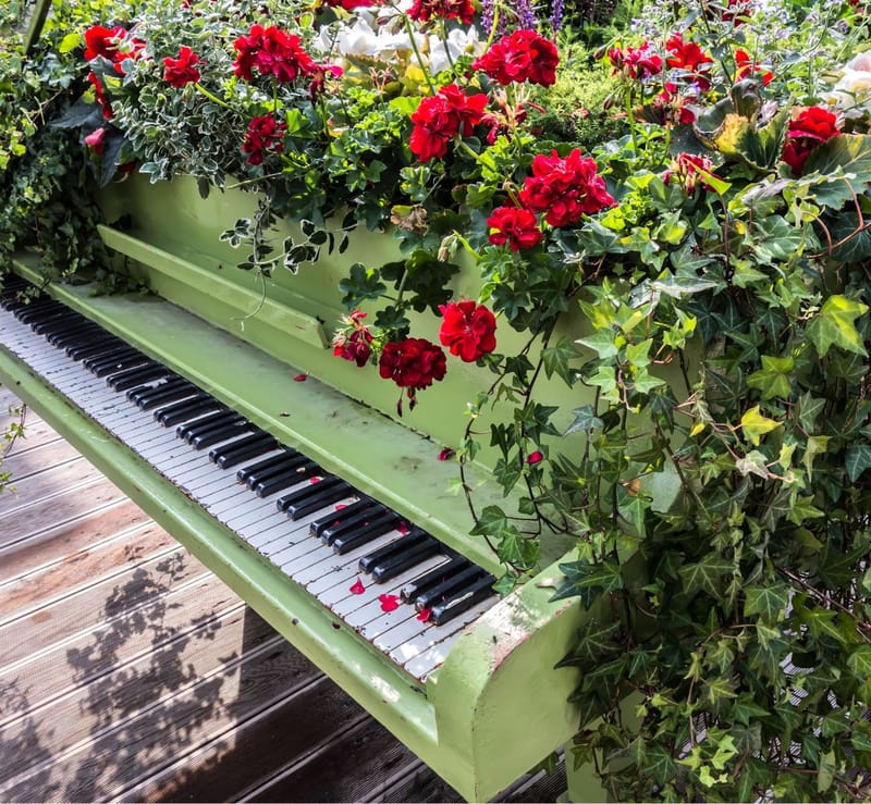 Bild till evenamnget Sommarmusik i Karlanda kyrka