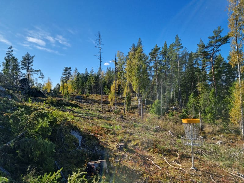 Ingestrand Discgolfbana