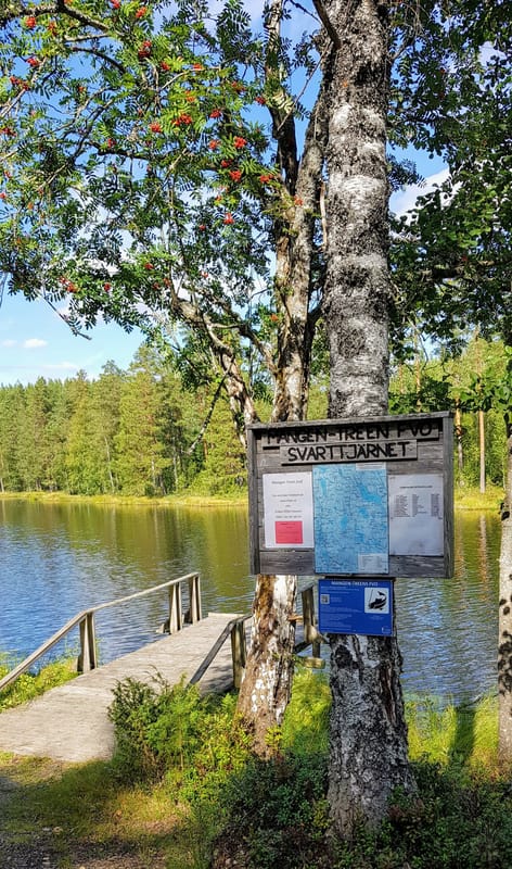 Ädelfiske i Arvika kommun