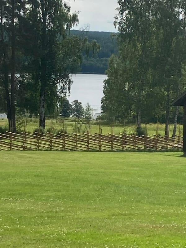 Bild som visar evenemanget Söndagsunderhållning