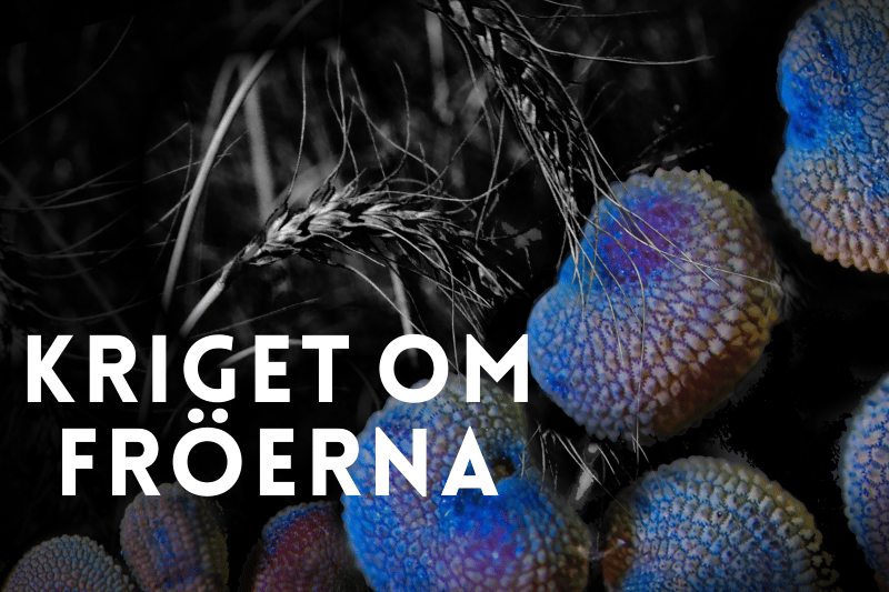 Bild till evenamnget Kriget om fröerna med Tina-Marie Qwiberg