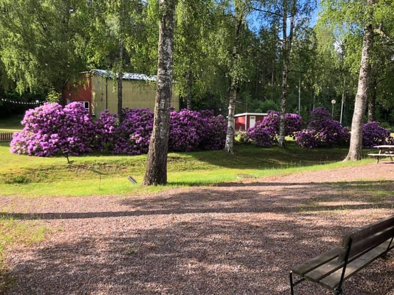 Café i Folkets park