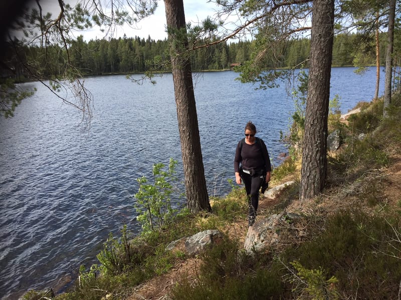 Skalltjärnsrundan