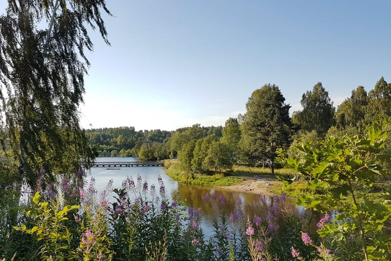 Hästskoholmen naturreservat