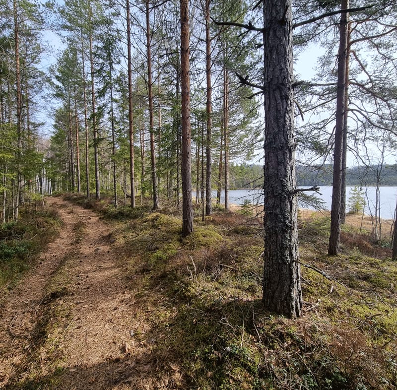 Finnleden Västra
