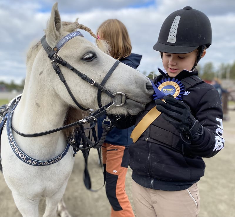 Travskolan Årjängstravet