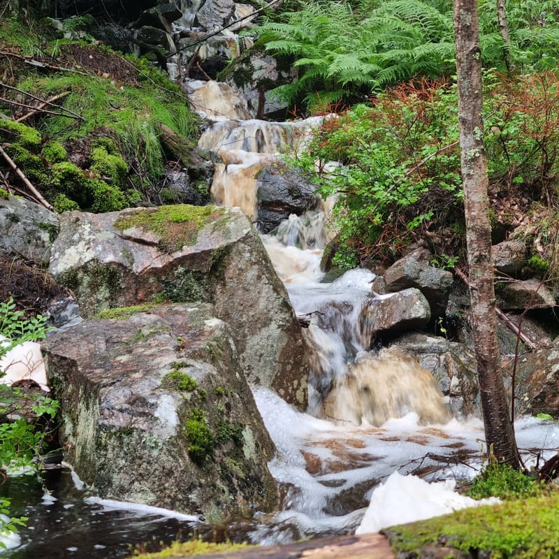 2-dagars tur med tema: Kultur & Natur i Arvika
