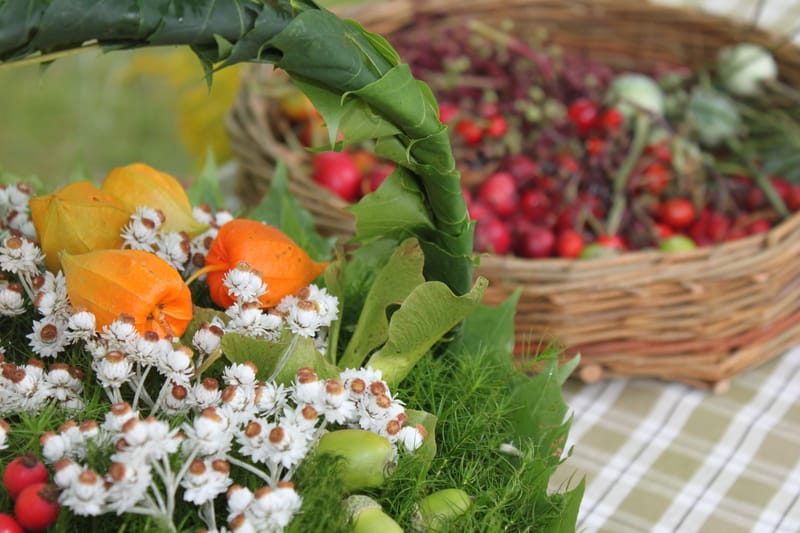 Höstmarknad på Alsters herrgård
