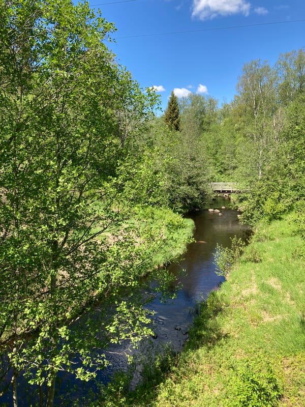 Varnans Bäckdal