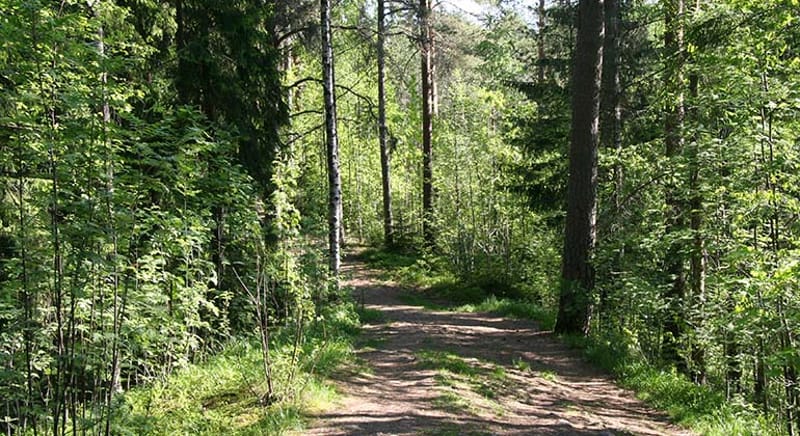 Rävåsen - Naturreservat