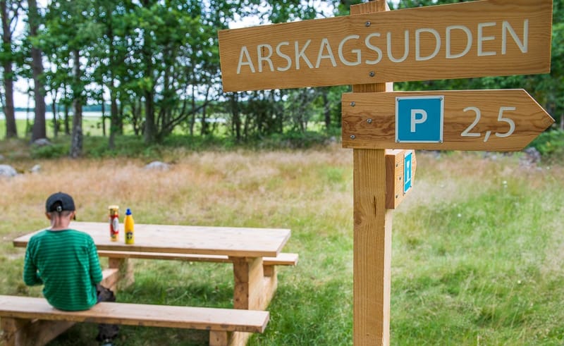 Arskagsleden