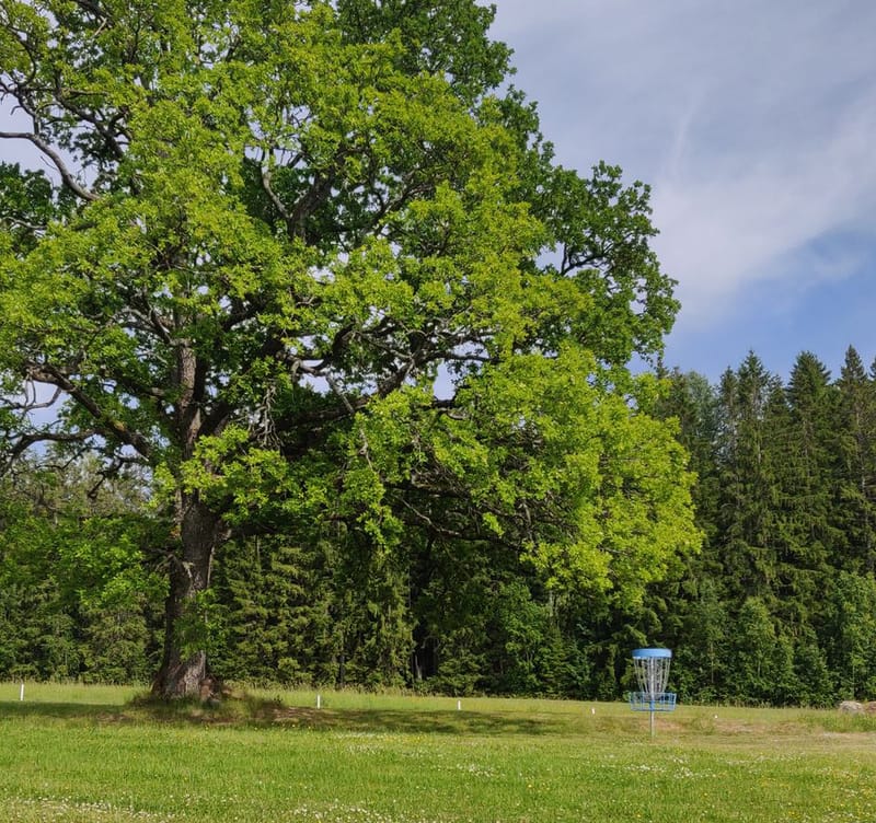 Arvika Discgolf Park