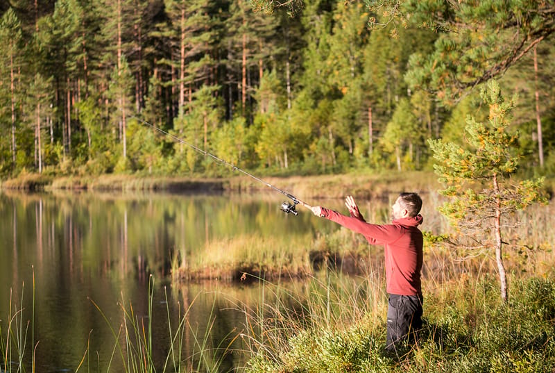 Put and take - fiske i Östra Hinnsjön, Västra Hinnsjön, Igeltjärn