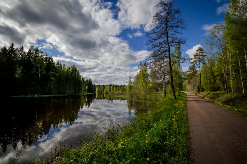 Naturreservat i Degerfors kommun