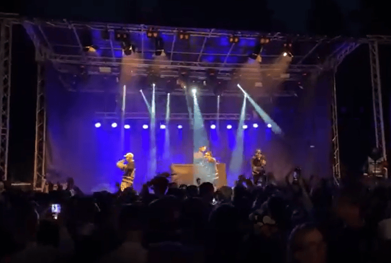 Borgviks hamnfest