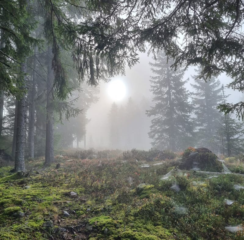 Finnleden Östra