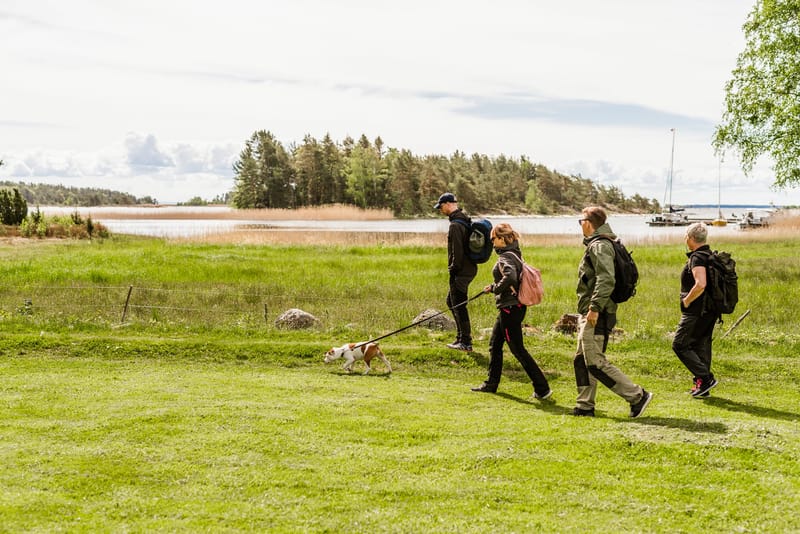 Vandra på Lurö - ön mitt i Vänern