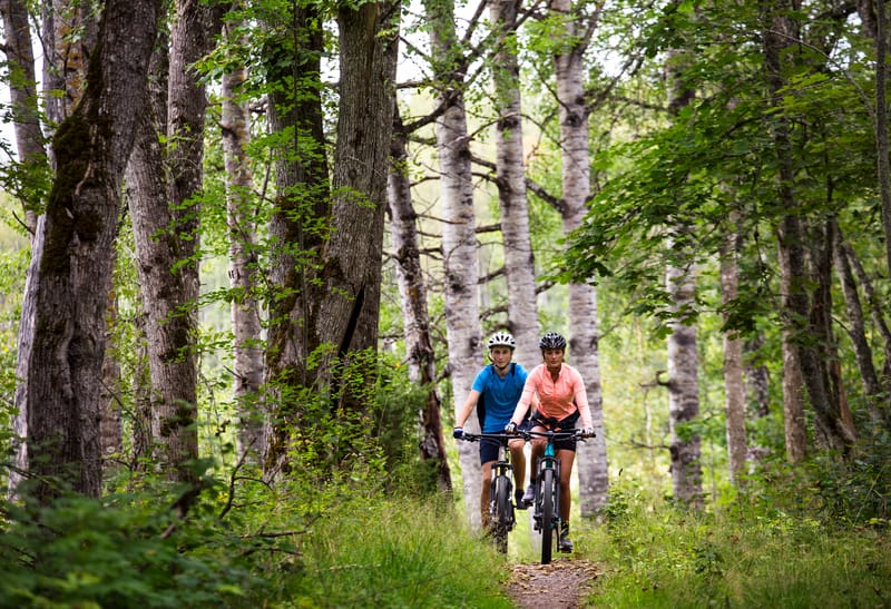 Björkvallen Mountainbikeled