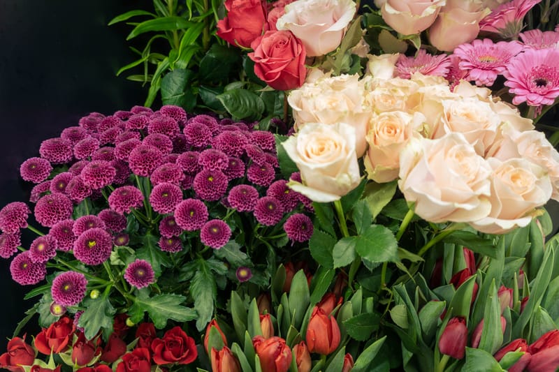 Nettans Blommor