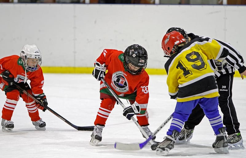 Allmänhetens åkning i ishallen