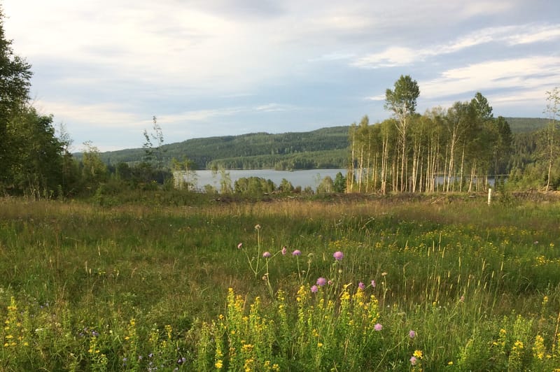 Arvika 23, stuga Gunnarskog