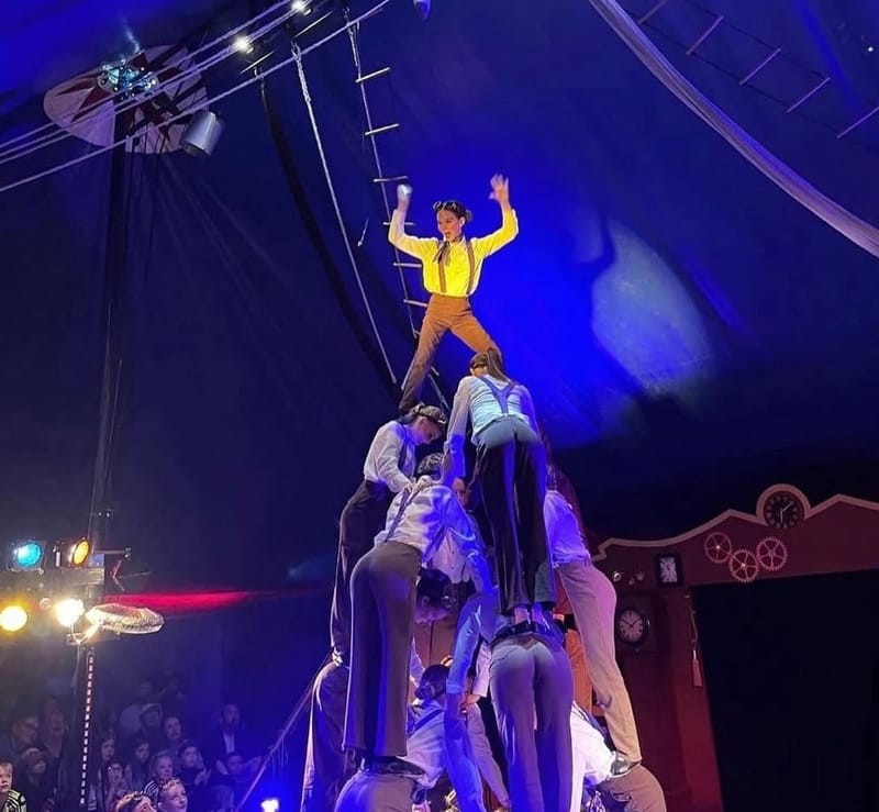 Bild till evenamnget Cirkusföreställning på First Camp Herrgårdsliv