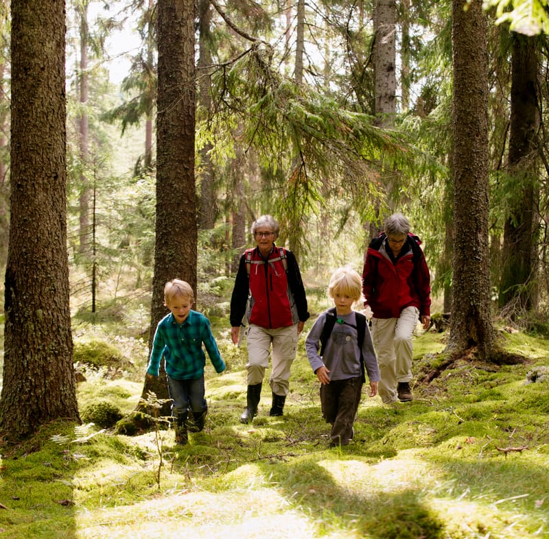 Rackstadskogens naturreservat