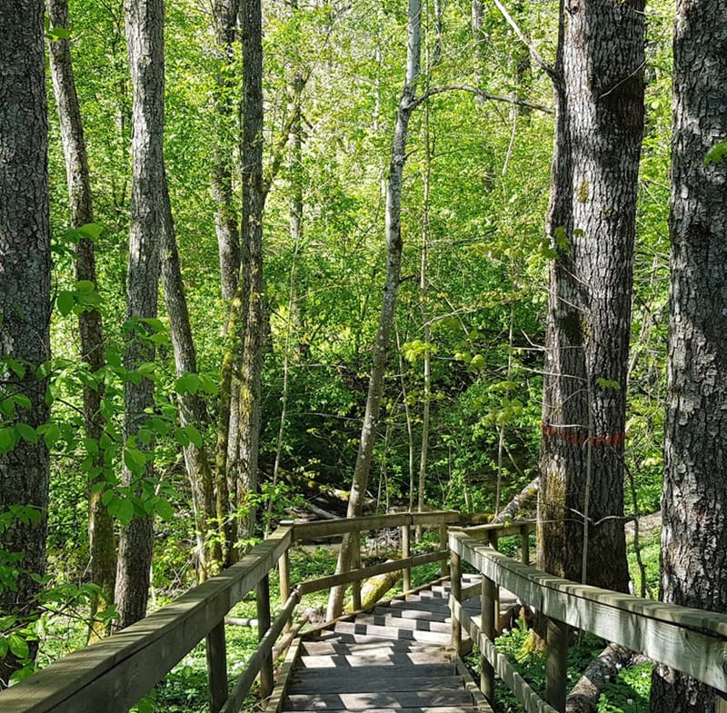 Stömne naturreservat