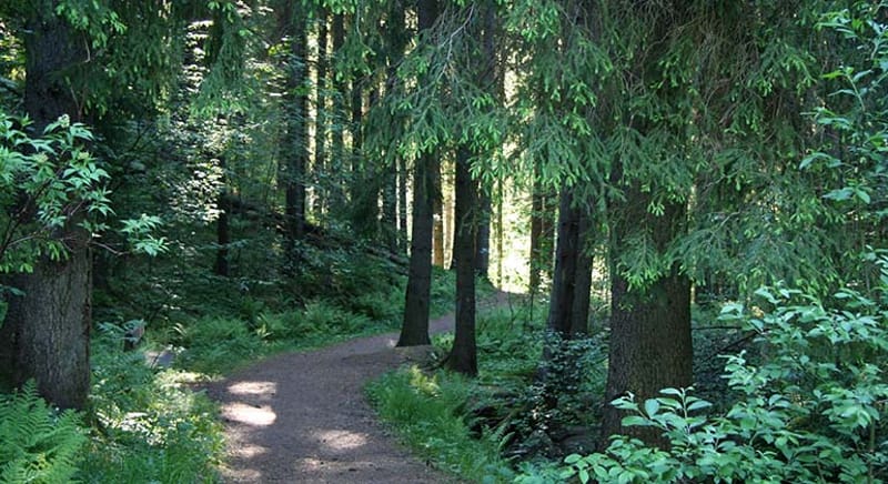 Bullerdalen - Naturreservat